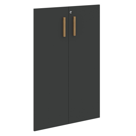 Двери FMD 40-2(Z) Черный графит