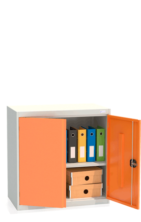 Шкаф архивный ШХА/2-900(50)