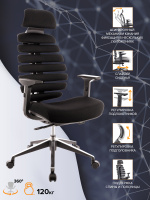 Кресло Эргономичное Everprof Ergo Black Ткань Черный