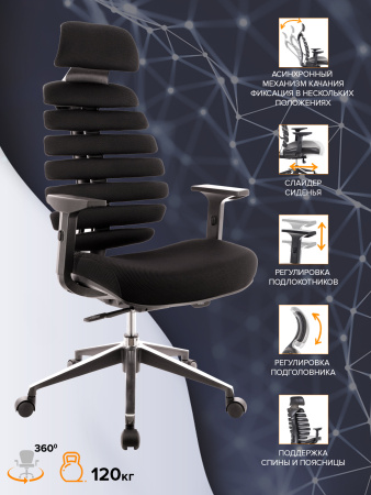 Кресло Эргономичное Everprof Ergo Black Ткань Черный