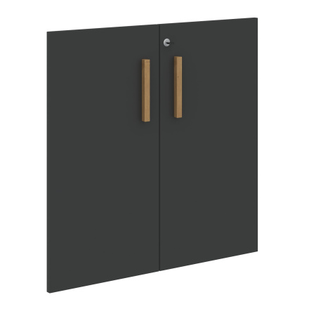 Двери FLD 40-2(Z) Черный графи