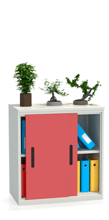 Шкаф-купе архивный ALS-8896