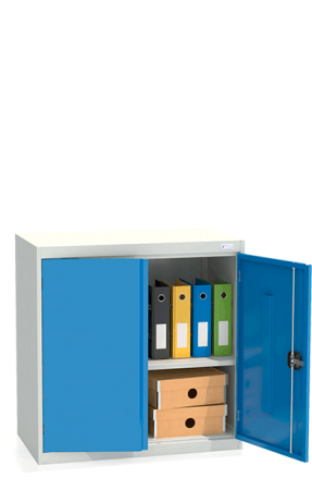 Шкаф архивный ШХА/2-900(50)