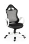 Кресло Геймерское "Тесла" CX0398H01 white+black