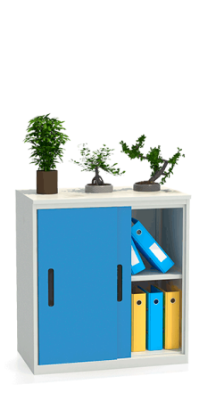 Шкаф-купе архивный ALS-8896