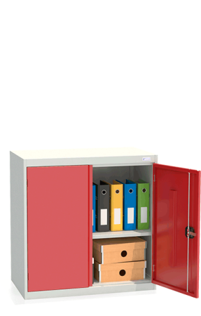 Шкаф архивный ШХА/2-900(50)