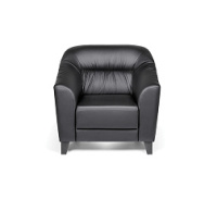 Одноместный диван Райт Вуд