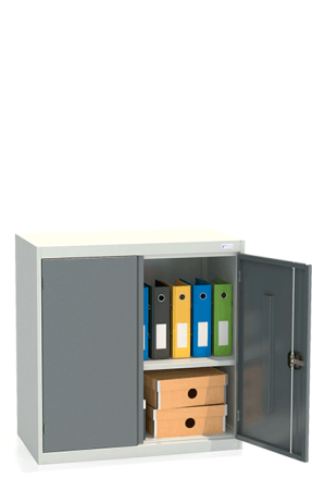 Шкаф архивный ШХА/2-900(50)