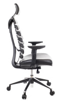 Кресло Эргономичное Everprof Ergo Black Экокожа Черный